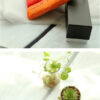 4 Colors Small Pocket Folding Umbrella Ultra-thin Light Mini Umbrella/Umbrella for Hajj & Umrah